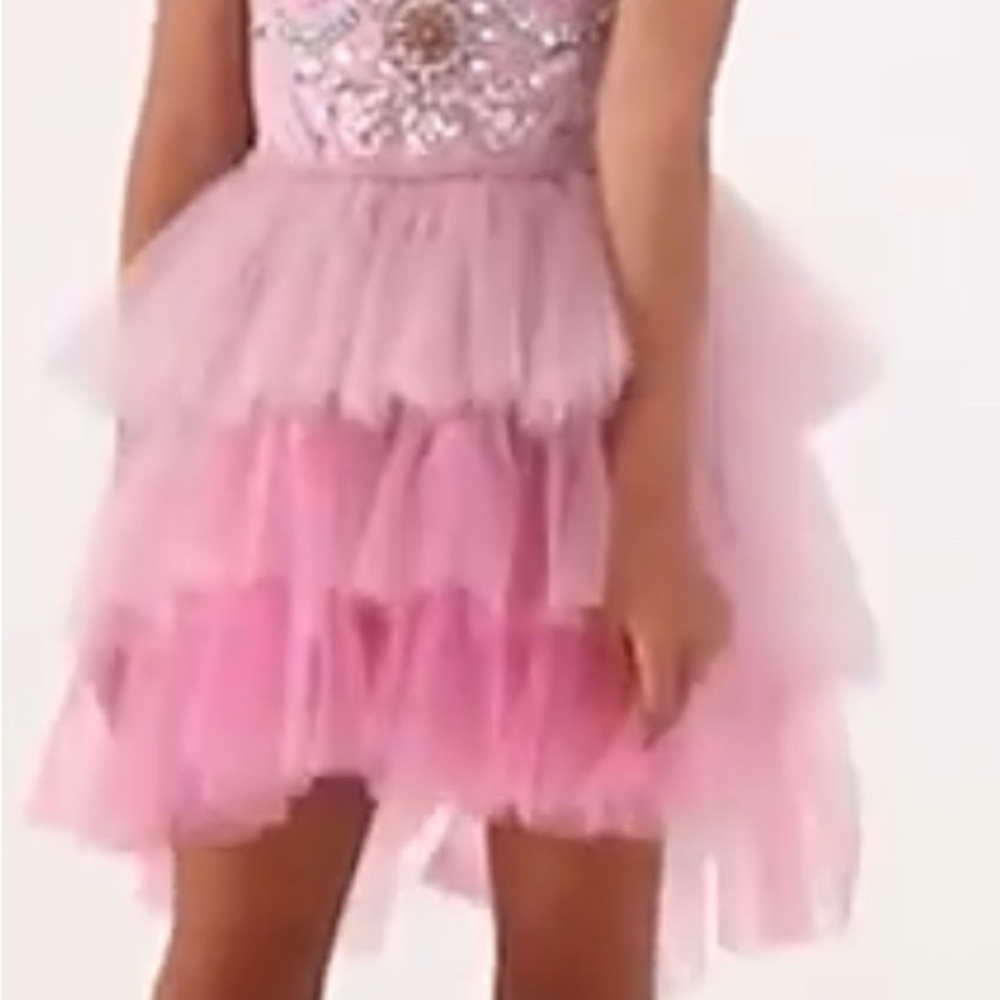 Tutu Du Monde Fortune Teller Dress in Pink and Lavendar Floral Size 10-11 - Picture 2 of 7